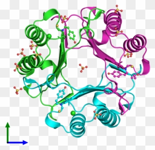 Pdb 4osf Coloured By Chain And Viewed From The Front - Illustration Clipart
