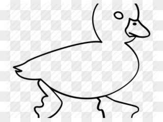 Drawn Duck Water Outline - Pato Para Colorear Clipart