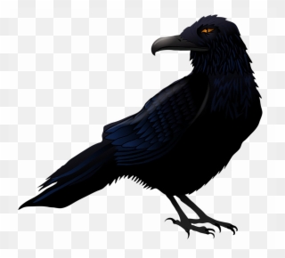 Halloween Crow Png High-quality Image - Raven Png Clipart