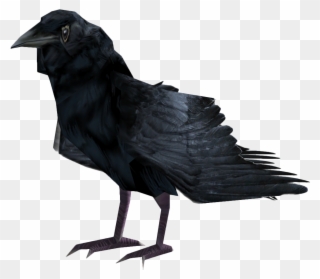 Download Png Image Report - Giant Raven Transparent Clipart