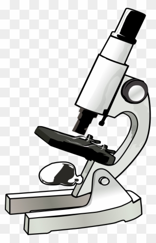 Clipart Of Assure, Beth And Swift - Microscope Color - Png Download