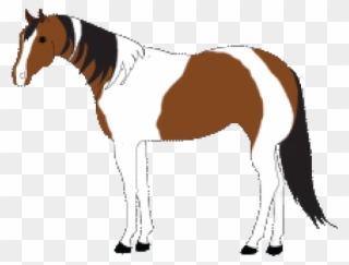 Paint Clipart Horse - Stallion - Png Download