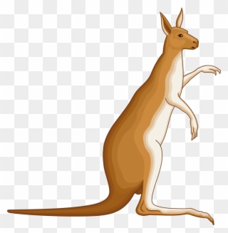 Clipart - Kangaroo - Kangaroo Coat Of Arms - Png Download