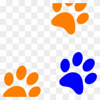 Orange Paw Print Clip Art Paw Clipart At Getdrawings - Dog Paw Prints Transparent - Png Download