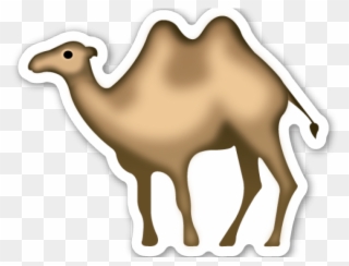 Camel Clipart Bactrian Camel - Camel With No Background - Png Download
