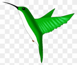 Green Bee Eater Clipart Png - Hummingbird Clipart Gif Transparent Png