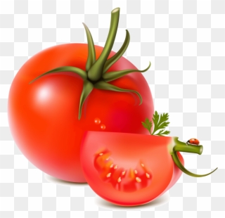 Tomato Png Image - Vegetables Fruits Vector Free Clipart