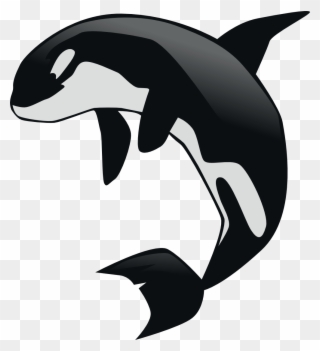 Gnustep Orca Contrasts - Killer Whale Clipart Png Transparent Png