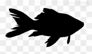 Friday Night Fish Fry - Fish Silhouette Png Clipart