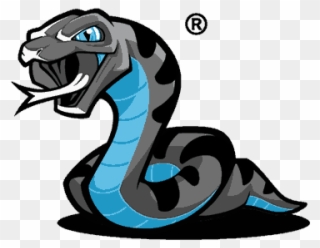 Anaconda Mascot Design - Logo Anaconda Clipart