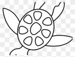 Sea Turtle Clipart Sea Plant - Sea Animals Black And White Png Transparent Png