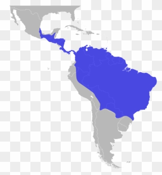 Open - Latin America Clipart