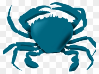 Crab Clipart Color - Animals Live In The Water - Png Download