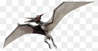Pteranodon - Jurassic Park Pteranodon Clipart