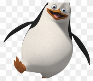 King Penguin Clipart Transparent Background - Pinguin Png
