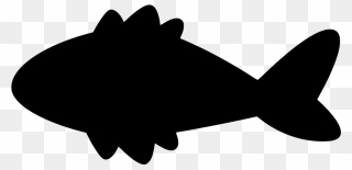 Download Png - Animated Fish Transparent Clipart
