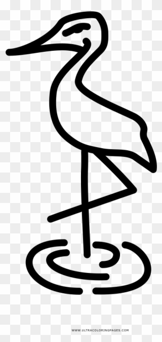 Flamingo Coloring Page - Water Bird Clipart