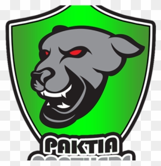 Cricket Ball Clipart Crocket - Kabul Zwanan Vs Paktia Panthers - Png Download