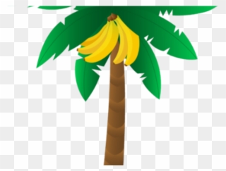 Palm Tree Clipart Bunch - Transparent Banana Tree Clipart - Png Download