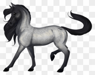 Here Is A Rare Horse That You May Only See Once In - Rare Pics Of Horse Clipart