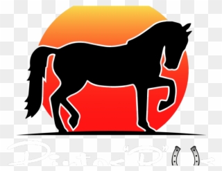 Rider Clipart Horse Trail Ride - Horse Silhouette Trick Riding - Png Download