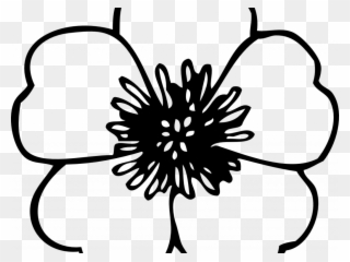 Free Black And White Flower Clipart - Poppy Flower Coloring Page - Png Download