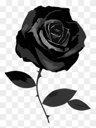 Gothic Black Flower Rose Goth Freetoedit - Black Instagram Theme Dividers Clipart