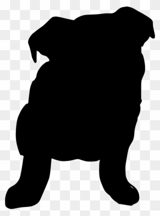 Download Png - Sun Bear Clipart