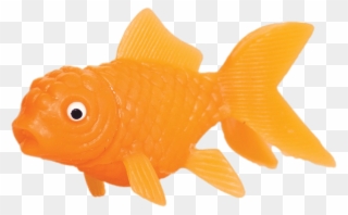 Download Plastic Goldfish Transparent Png - Goldfish Toy Clipart