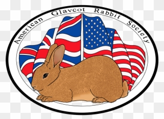 Picture - Domestic Rabbit Clipart