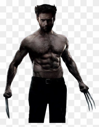 Wolverine Png Image - X Men Wolverine Png Clipart