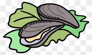 Vector Illustration Of Marine Bivalve Mollusk Shellfish - Oysters Clipart - Png Download