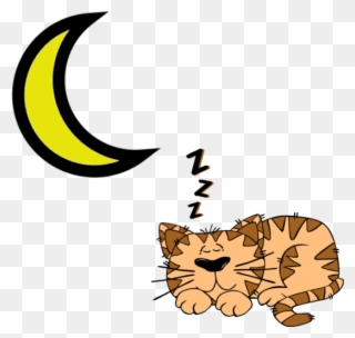 Měsíčkové - Cat Sleeping Cartoon Clipart