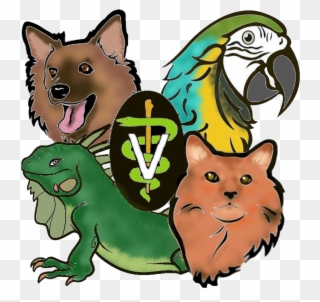Special Services - Animal Medical Hospital Of Centereach Clipart