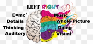 Memory Clipart Musical Brain - Right Brain Learners - Png Download