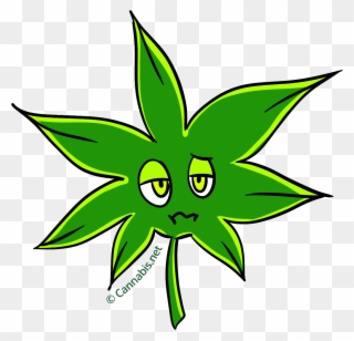 Girl Scout Cookies Insomnia - Kush Clipart