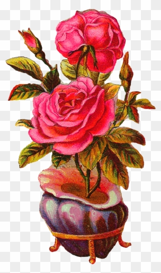 Botanical Vintage Download Pink Rose With Shell Vase - Vintage Vase Png Flower Clipart