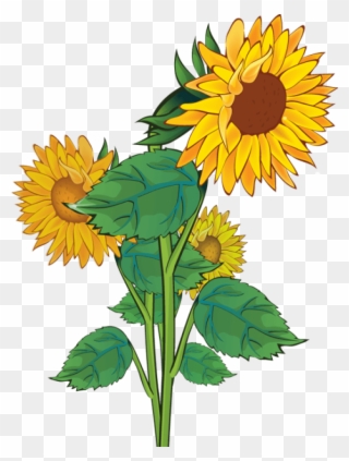 Free Sunflower Clipart Public Domain Flower Clip Art - Plants Sunflower Clip Art - Png Download