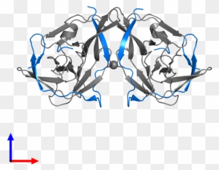 <div Class='caption-body'>pdb Entry 5gj4 Contains 2 - Illustration Clipart