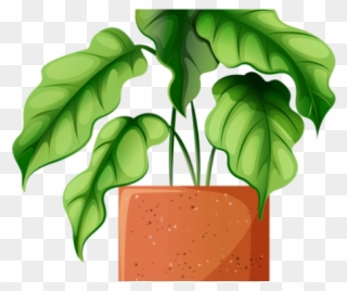 Potted Plants Clipart 1 Flower - Clip Art - Png Download