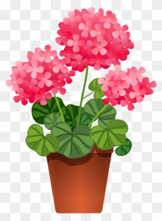 Plant With Flowers Clipart - Png Download