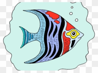 Fish Clipart Transparent Background - Coral Reef Fish - Png Download