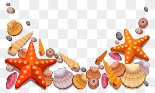 Sea Shells Vector Png Clipart