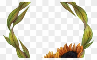 Hand Painted Sunflower Wreath Png Transparent Free - Vòng Hoa Hướng Dương Clipart