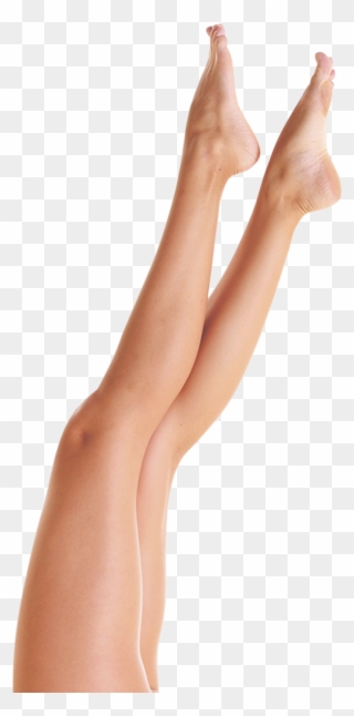 Legs Clipart Women's - Leg - Png Download