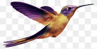 Free Png Download Hummingbird Png Images Background - Oiseaux Violets Png Clipart