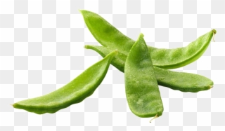 Pea Png Free Image - Snap Pea Clipart