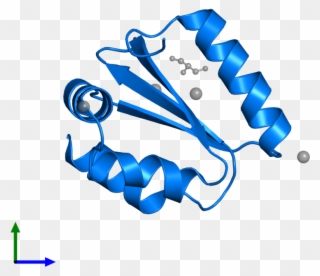 <div Class='caption-body'>pdb Entry 1yd0 Contains 1 - Graphic Design Clipart