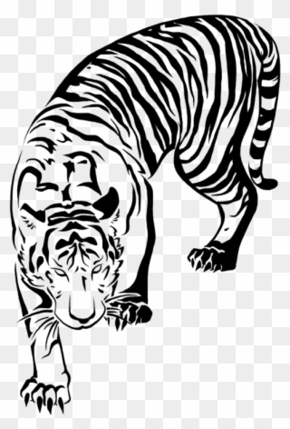 498 X 735 4 - Tattoo Japanese Tiger Drawing Clipart