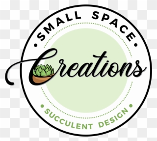 Small Space Creations - Circle Clipart